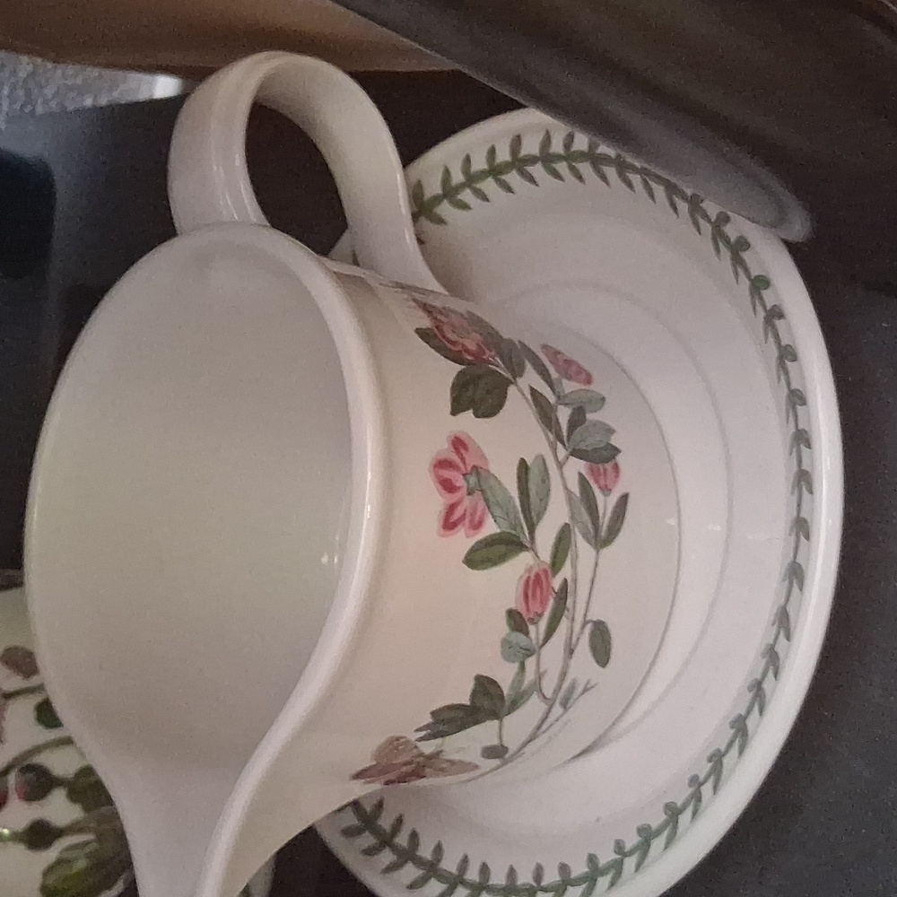 Botanic Garden Portmeirion Gravy Pitcher Bowl Boat with Saucer Plate Rhododendro